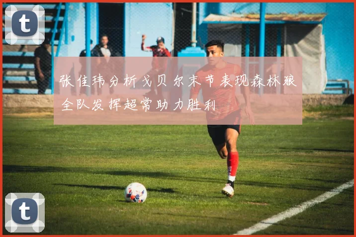 张佳玮分析戈贝尔末节表现森林狼全队发挥超常助力胜利